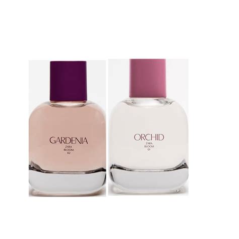 gardenia zara|Gardenia Eau de Parfum Zara pour femme